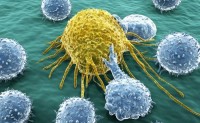 英科学家找到癌症”致命弱点” 可追杀每个癌细胞